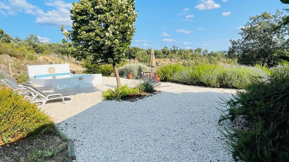 Spring, Day, Natural landscape, Garden, Garden view, Pool view, Swimming pool, sunbed