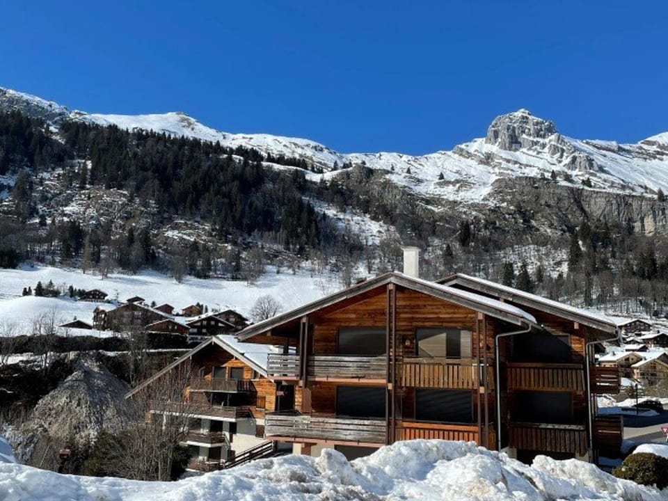 Appartement skis aux pieds, cosy 2 pièces, terrasse Sud/Est, 1er étage, idéal pour 4 personnes - FR-1-458-131 Apartment in Le Grand-Bornand