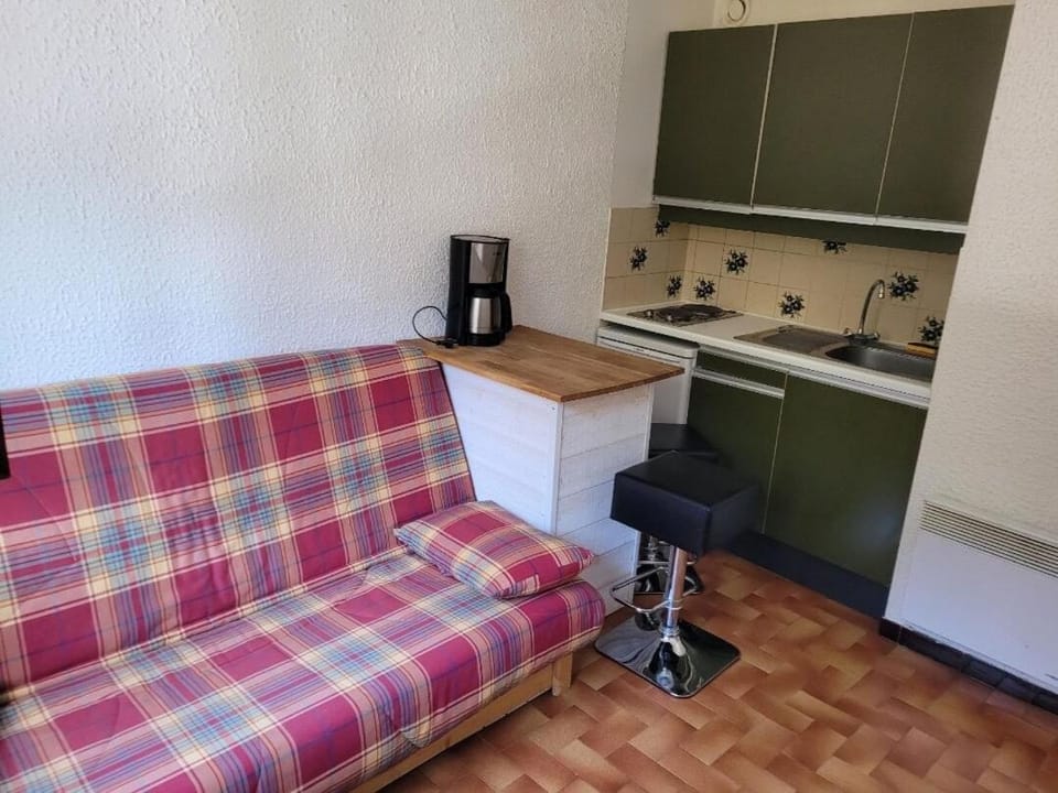 Studio les freinets Châtel Apartment in Châtel