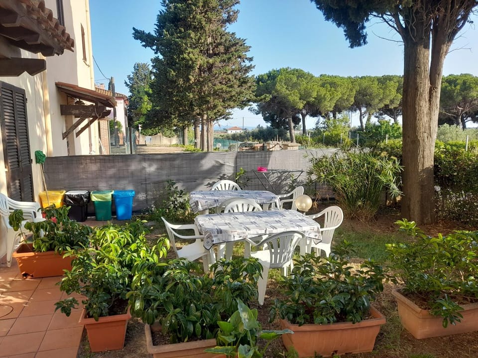 Garden, Garden view