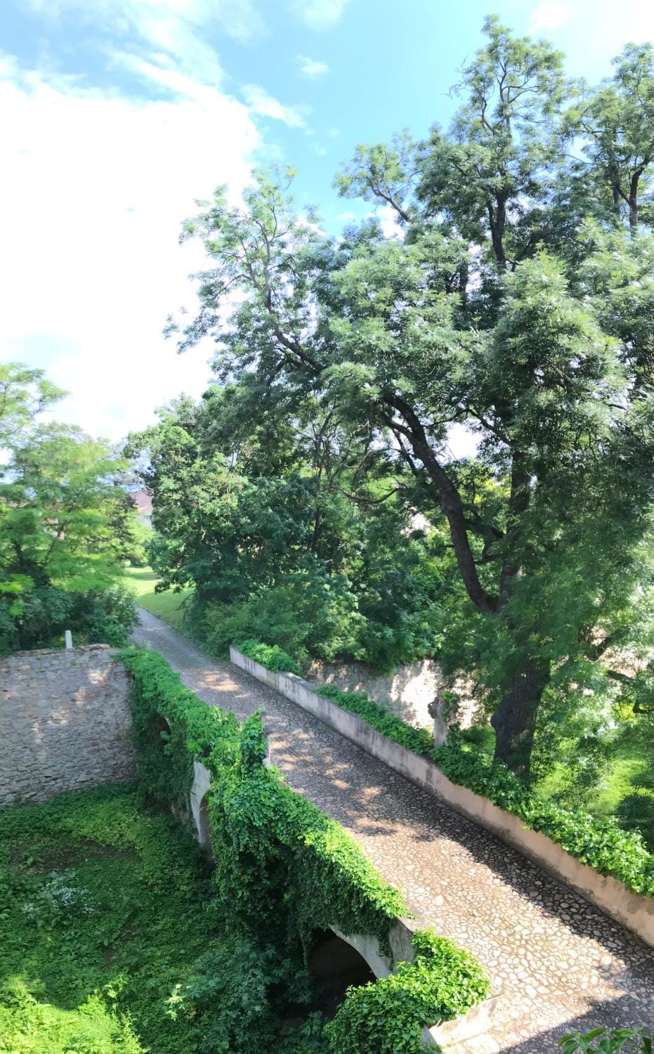 Garden view