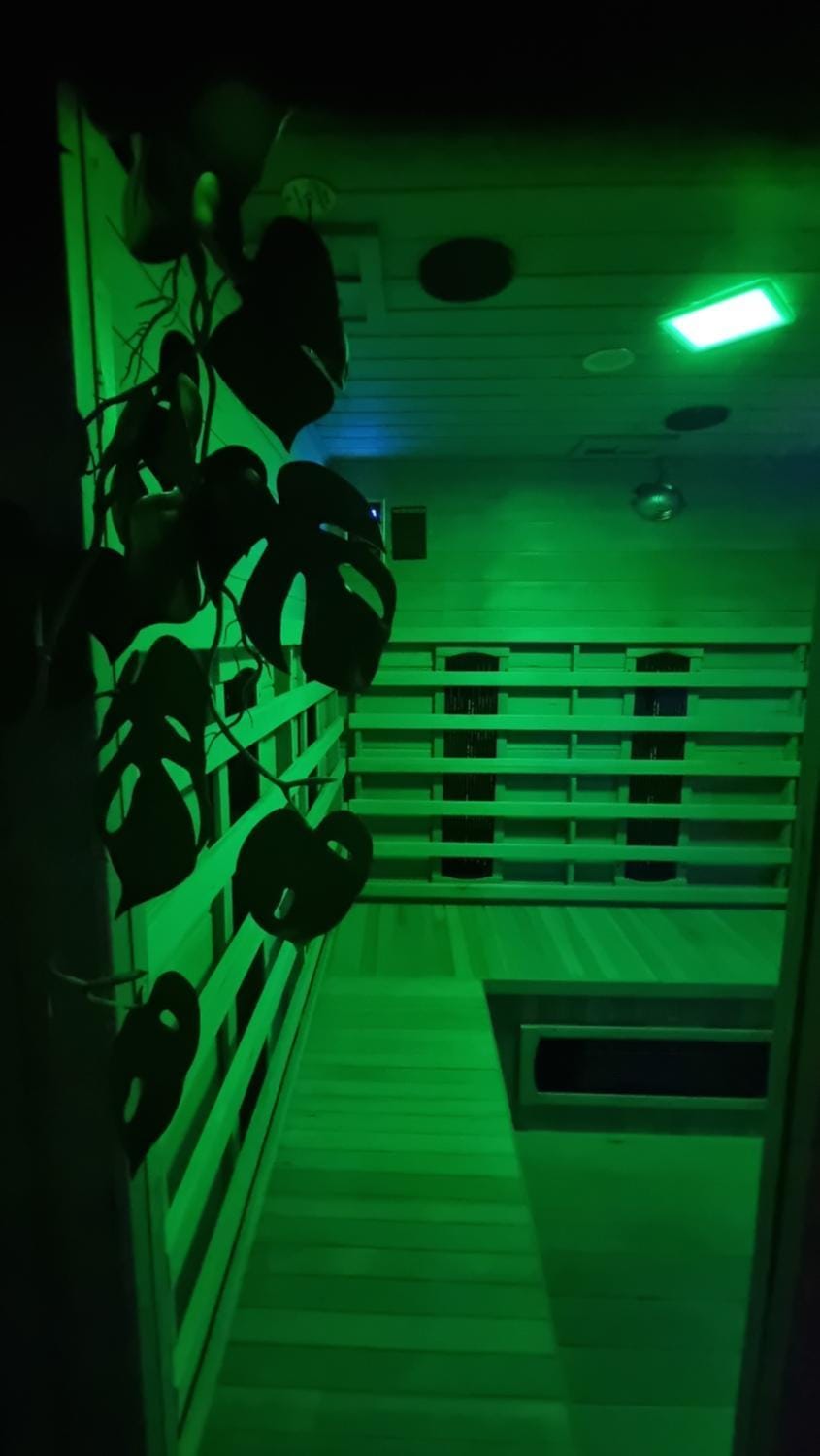 Sauna, Sauna