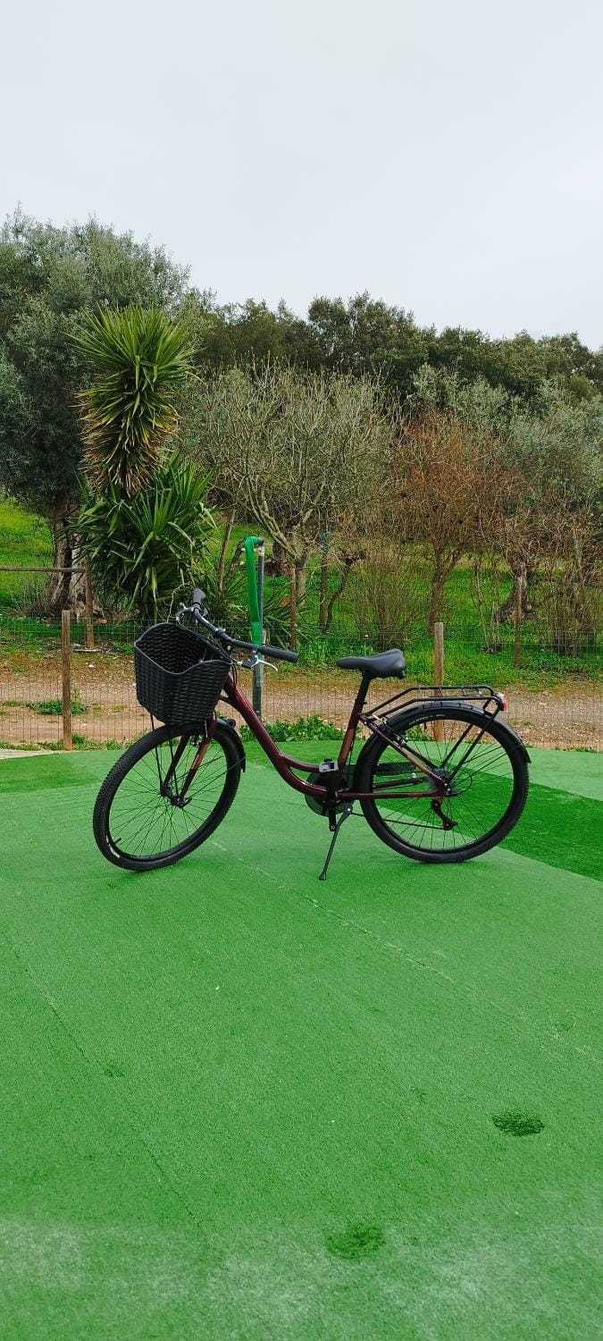 Cycling