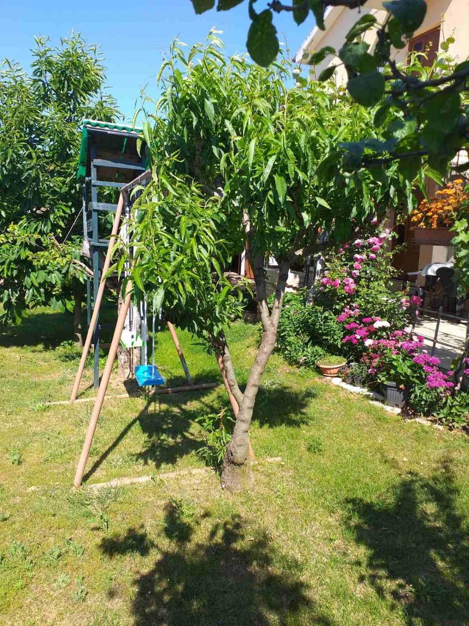Children play ground