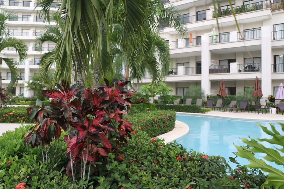 Pool view, Swimming pool, Swimming pool