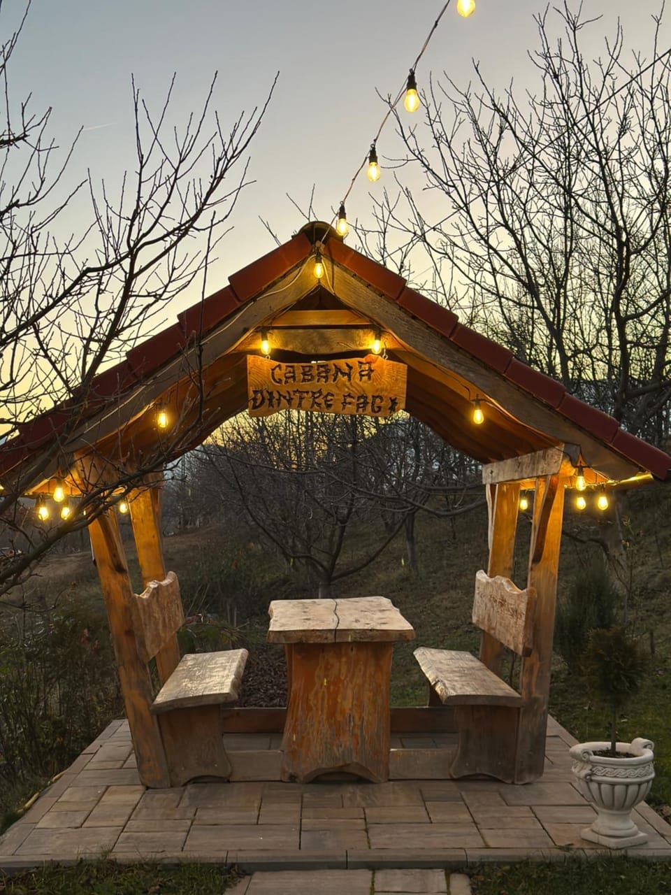 Cabana Dintre Fagi Nature lodge in Brașov County