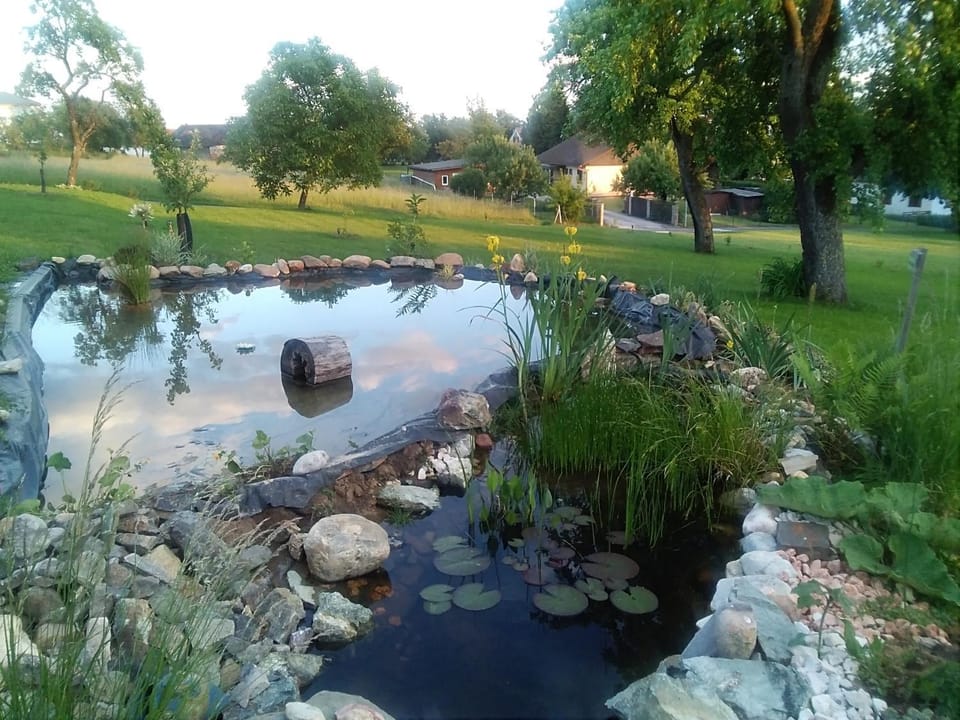 Garden, View (from property/room)
