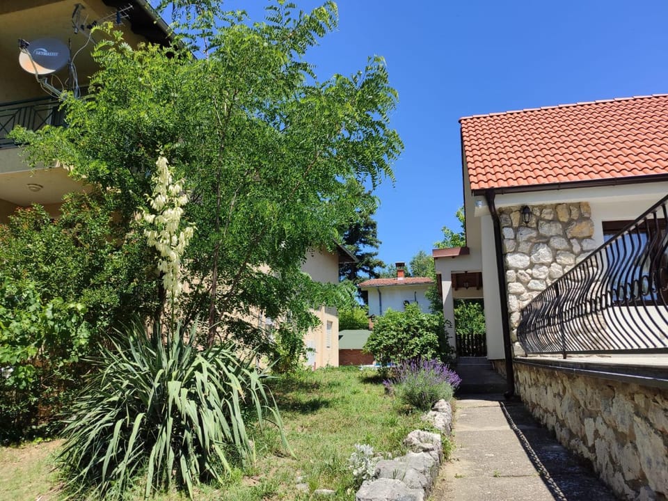 Bianca Villa in Vojvodina