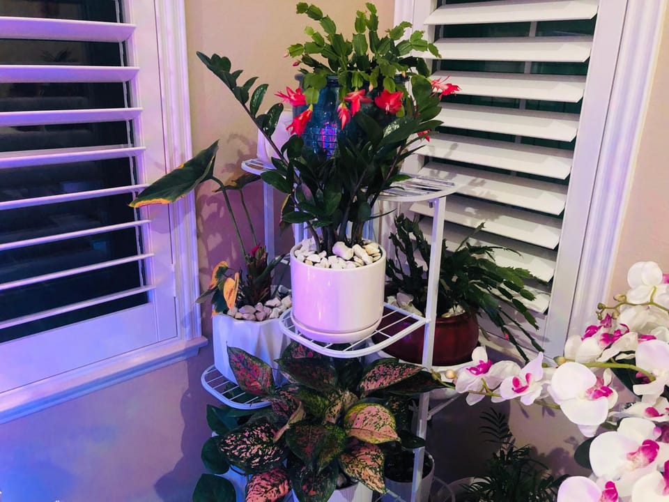 Balloons and Wine Vacation rental in Murrieta