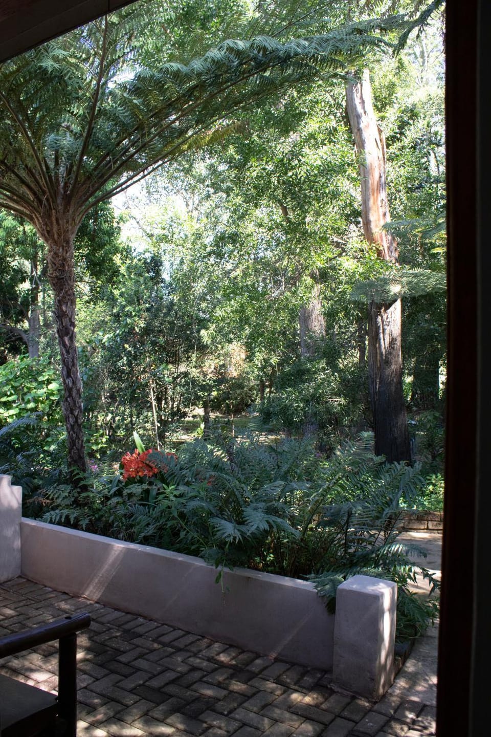 Garden view