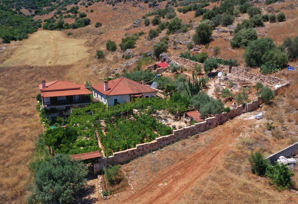 Property building, Day, Neighbourhood, Natural landscape, Bird's eye view