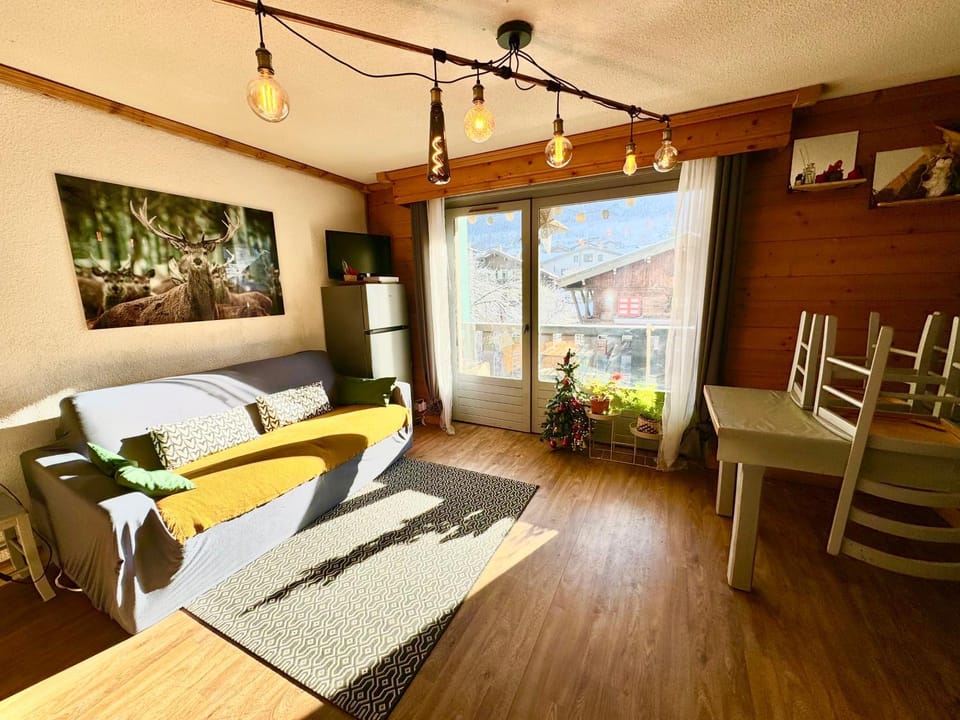 Appartement vue Montblanc 5mn piste1 Apartment in Les Houches