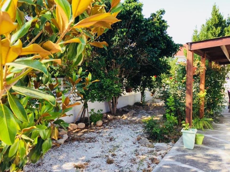 Artist Cottage in Dromolaxia Apartment in Larnaca District