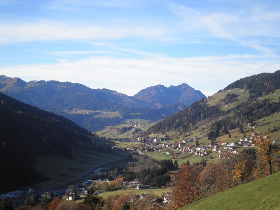 View (from property/room)