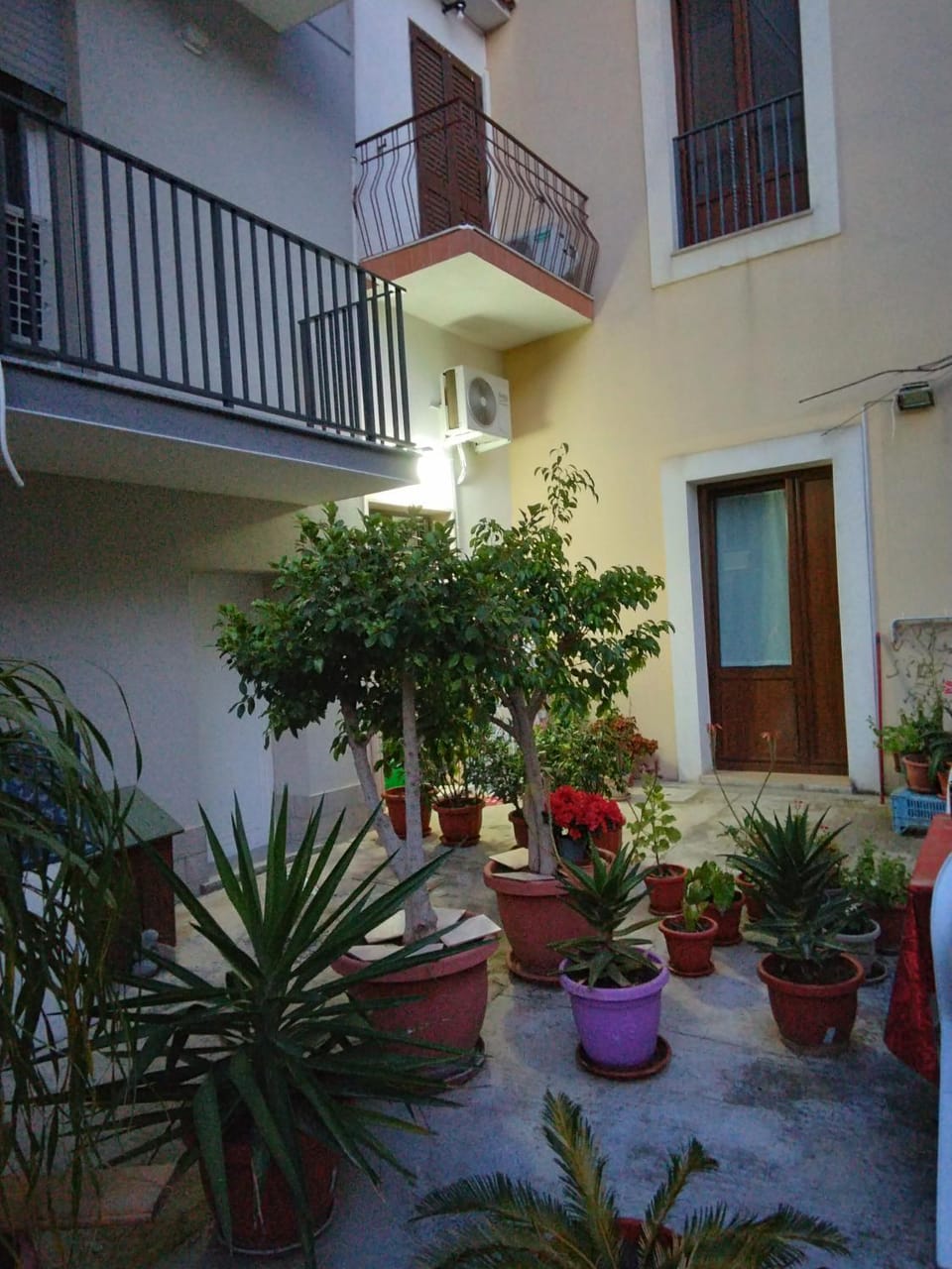 Garden view