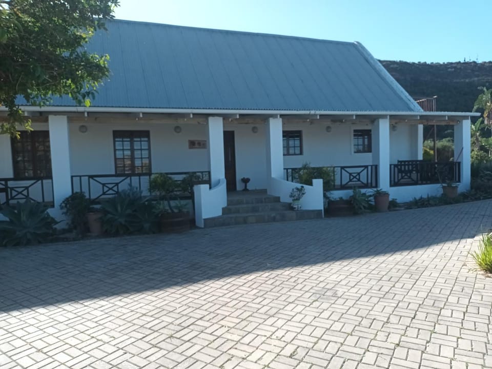 Property building, Day, Garden