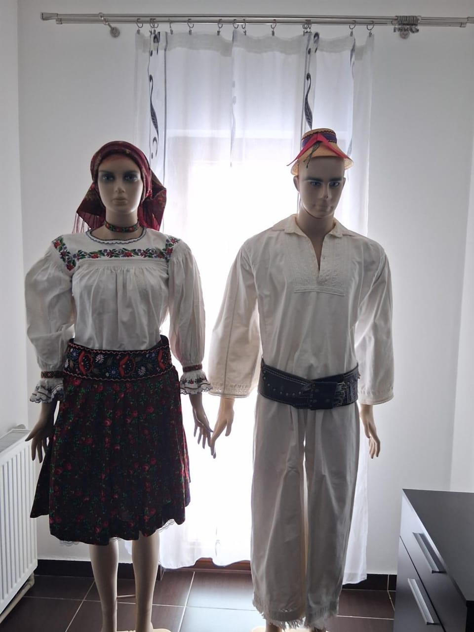 Vila Felicia Villa in Romania