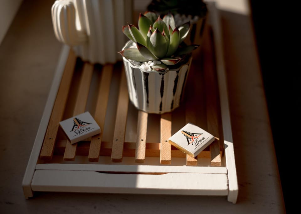 Diva apartman Apartment in Serbia