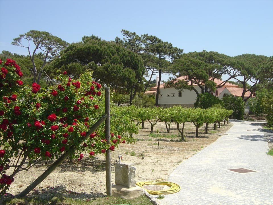 Garden, Garden view