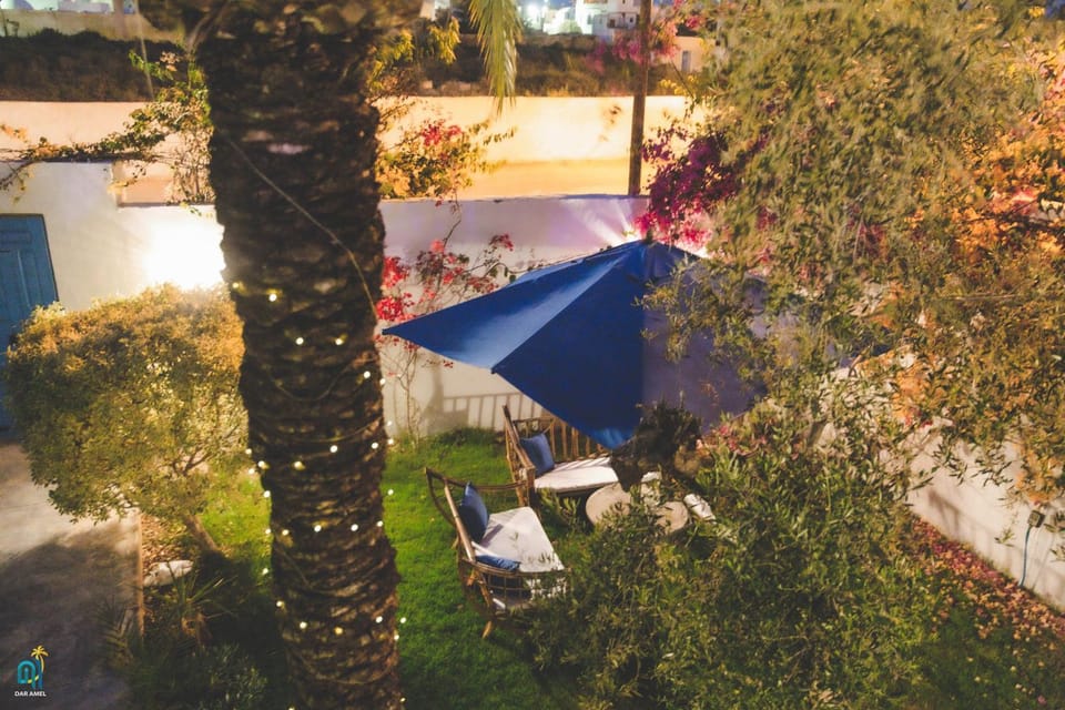Day, Garden, Garden view