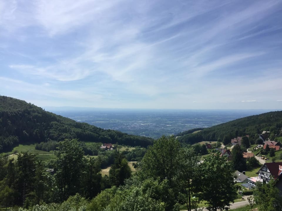 View (from property/room)