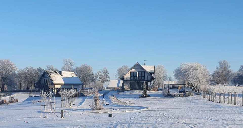 Property building, Day, Winter