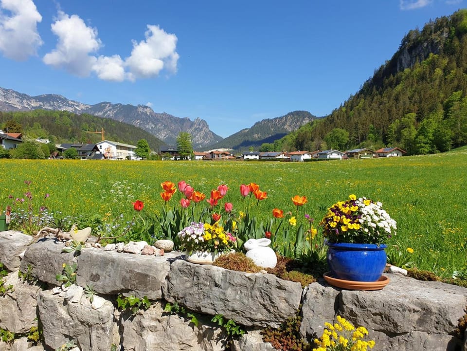 Ferienwohnung Sunnwinkel Apartment in Berchtesgadener Land