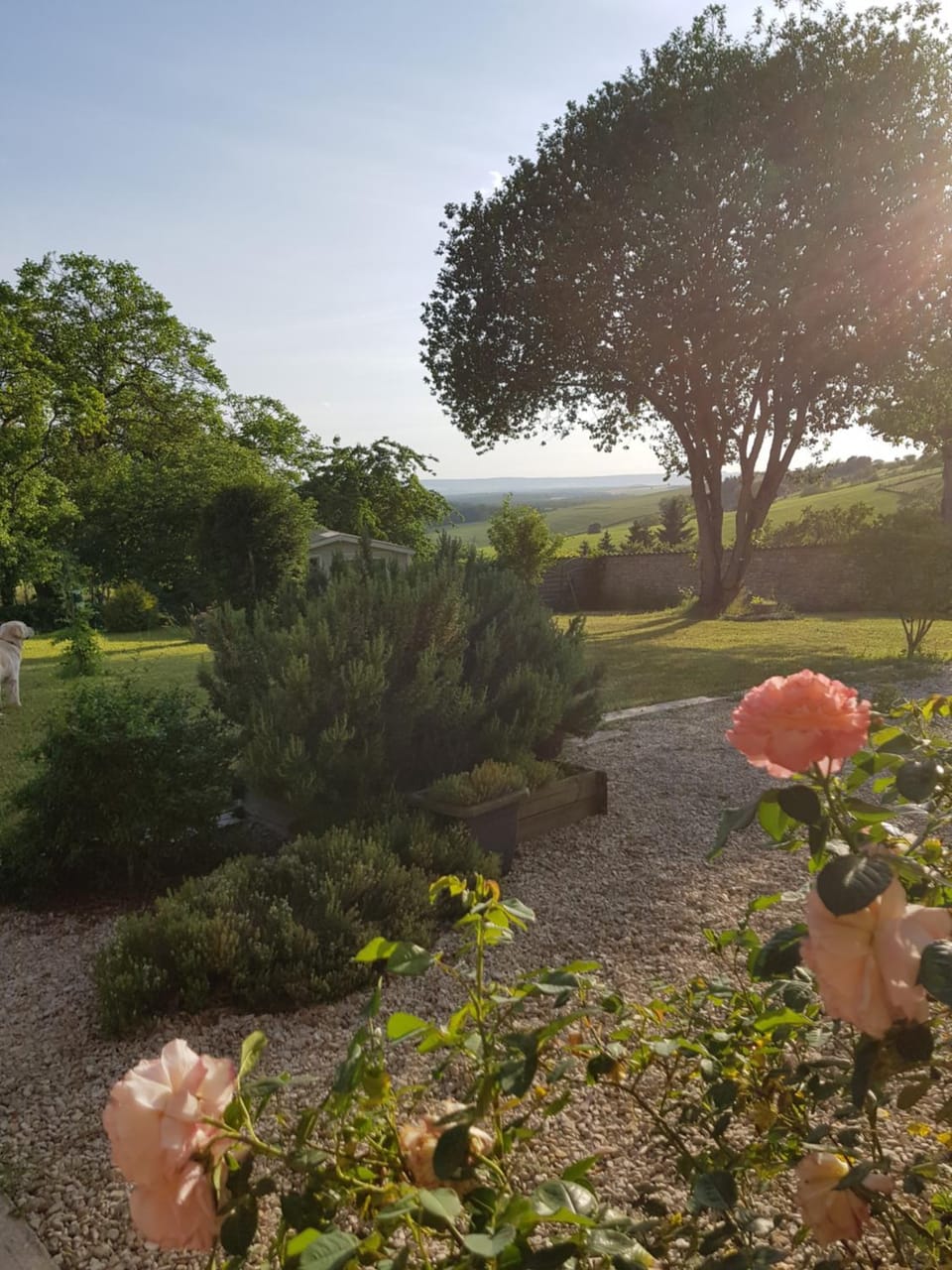 VILLA CHAMPAGNE Villa in Grand Est
