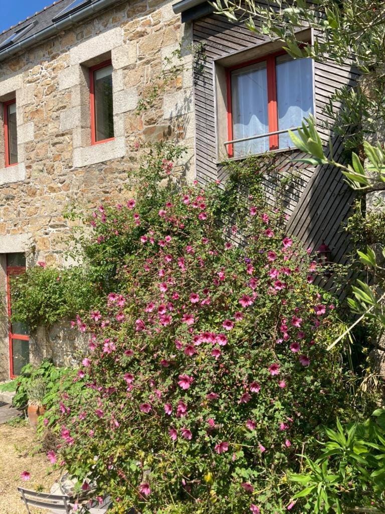 Facade/entrance, Garden