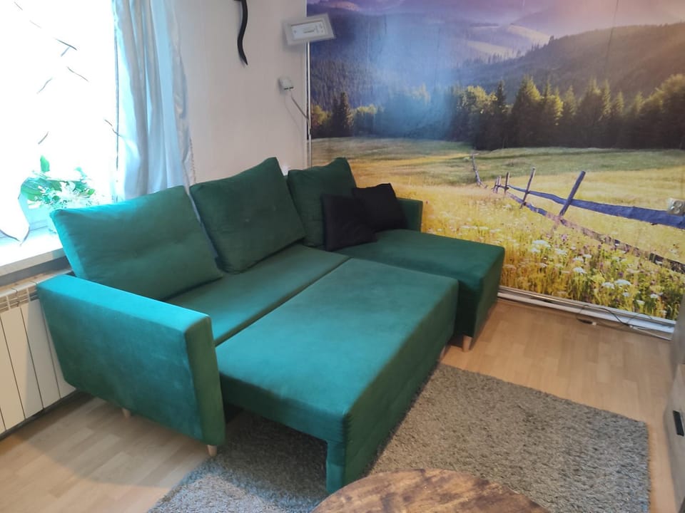 Apartament Wrzos Bieszczady Apartment in Poland