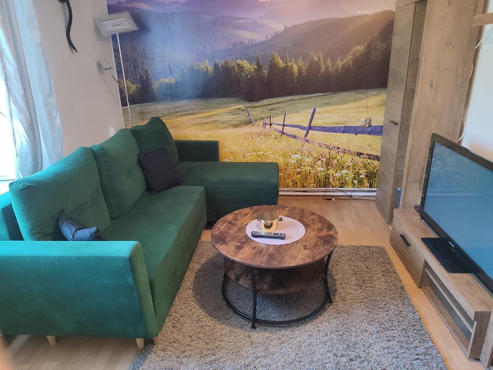Apartament Wrzos Bieszczady Apartment in Poland