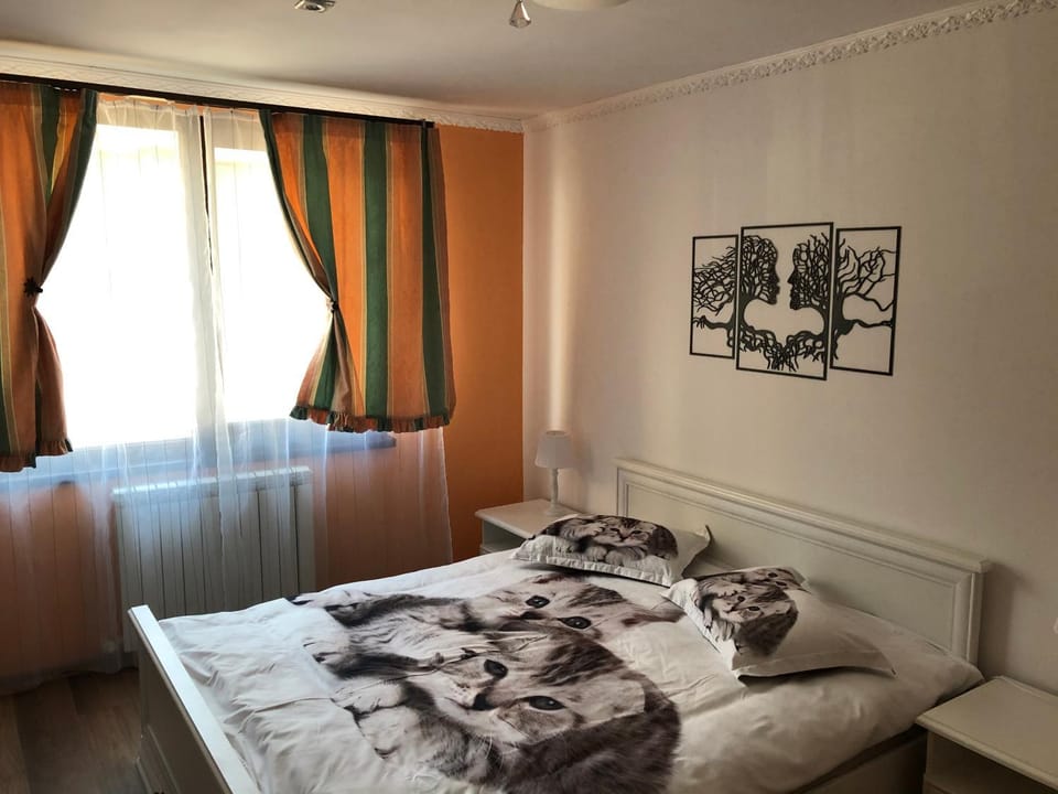 Vibe studio Apartment in Romania
