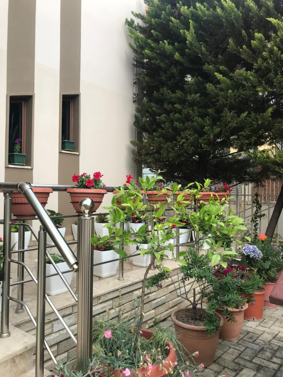 Patio, Facade/entrance