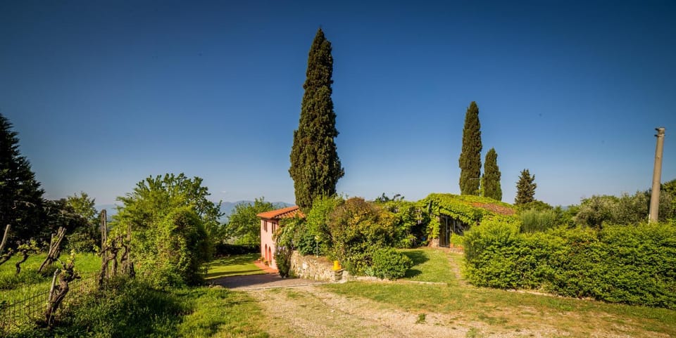 Day, Garden, Garden view