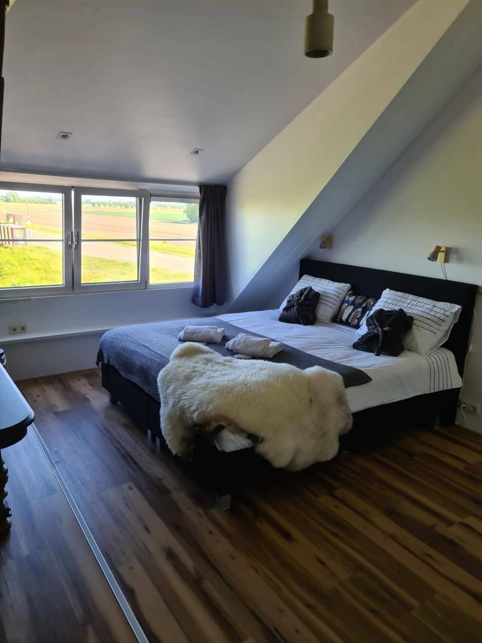 Pure Passie Bed and Breakfast Bed and Breakfast in South Holland (province)