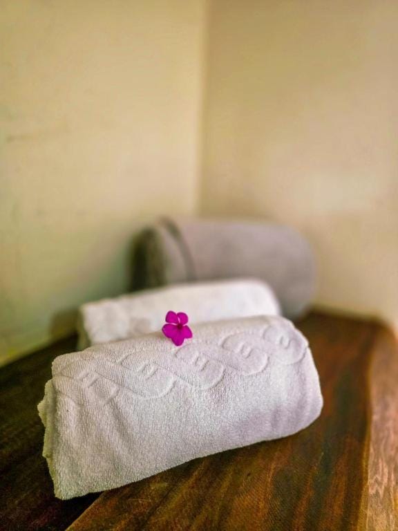 Vila Sancar Pousada Bed and Breakfast in State of Bahia