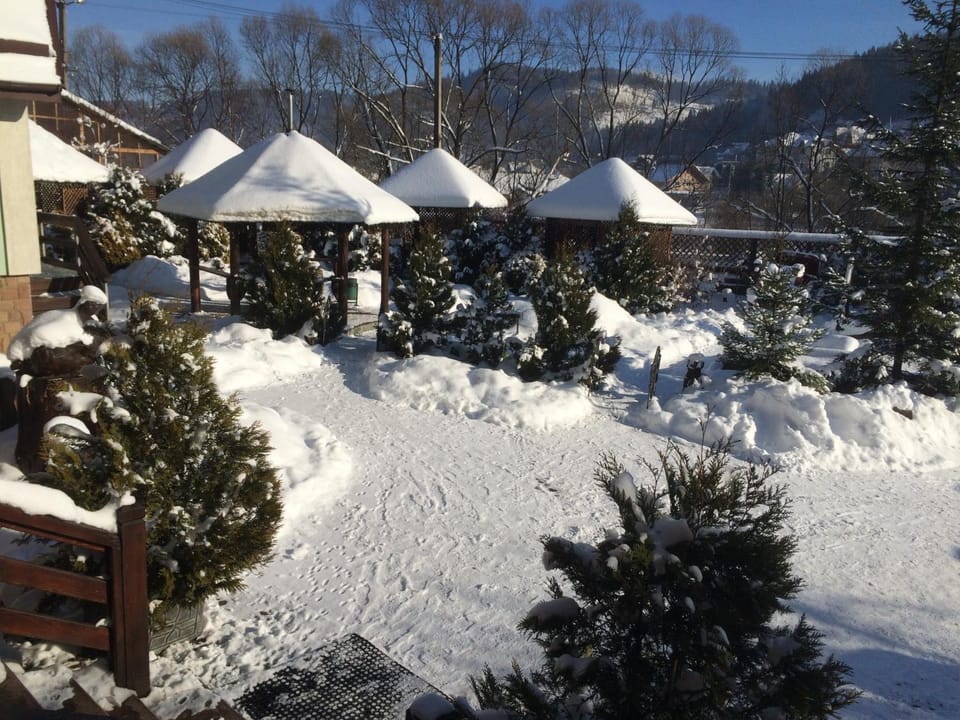 Winter