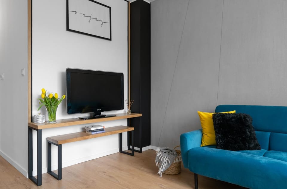 TV and multimedia