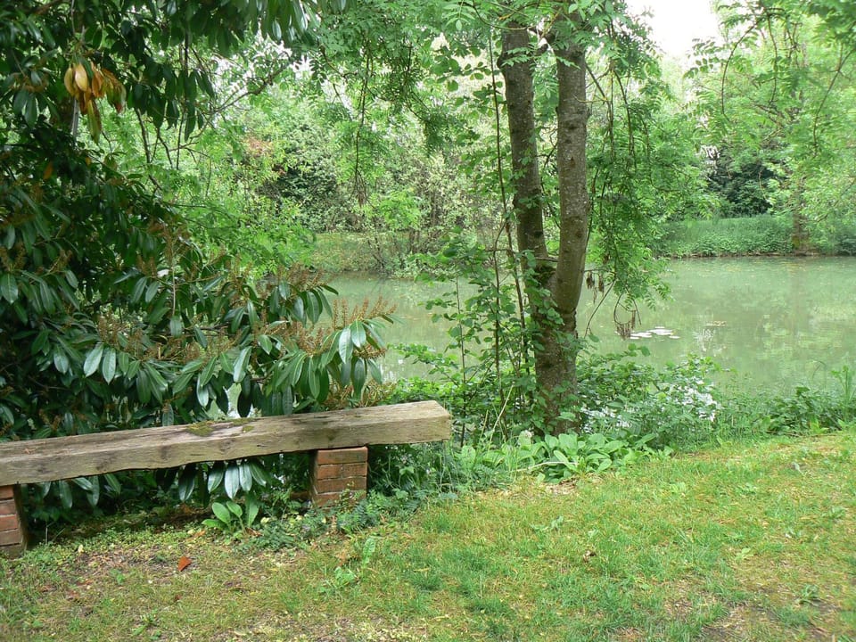 Garden, Lake view