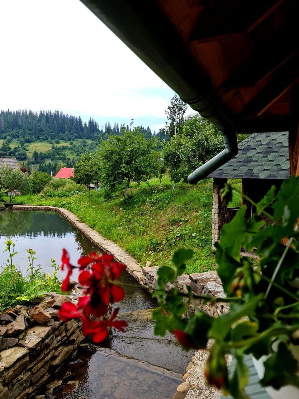 Garden view