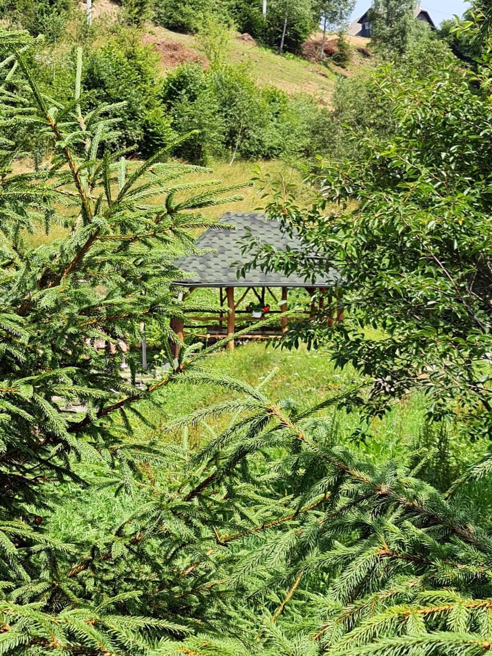 Garden, Garden view