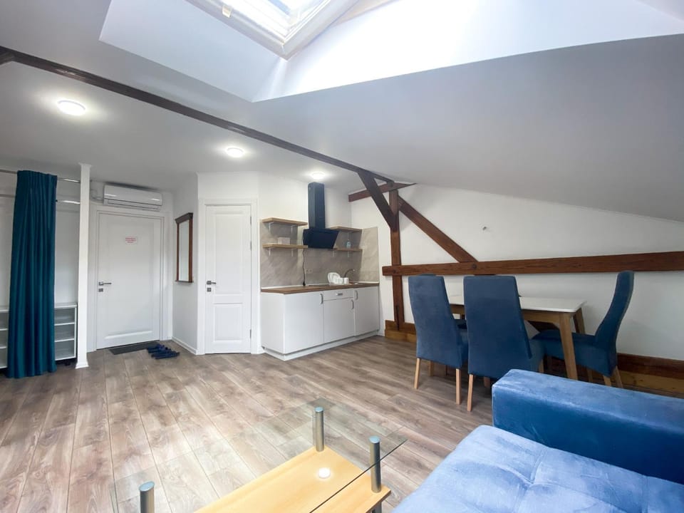 Мансардні апартаменти в центрі міста Apartment in Lviv Oblast