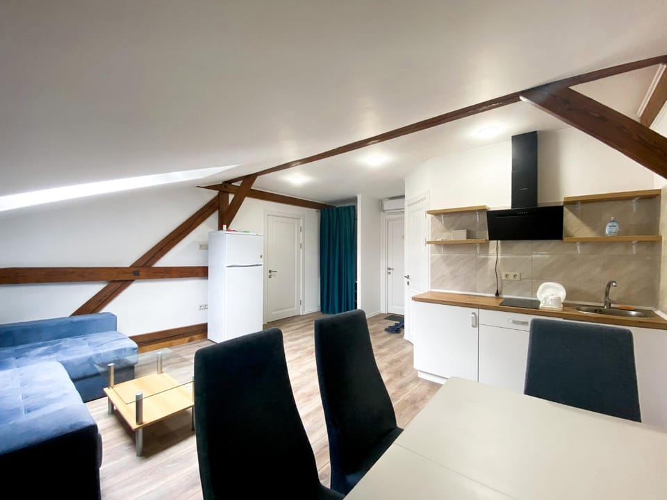 Мансардні апартаменти в центрі міста Apartment in Lviv Oblast