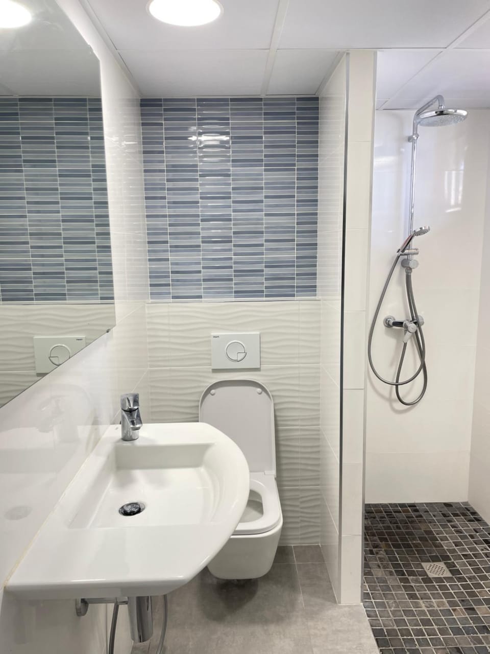 Shower, Toilet