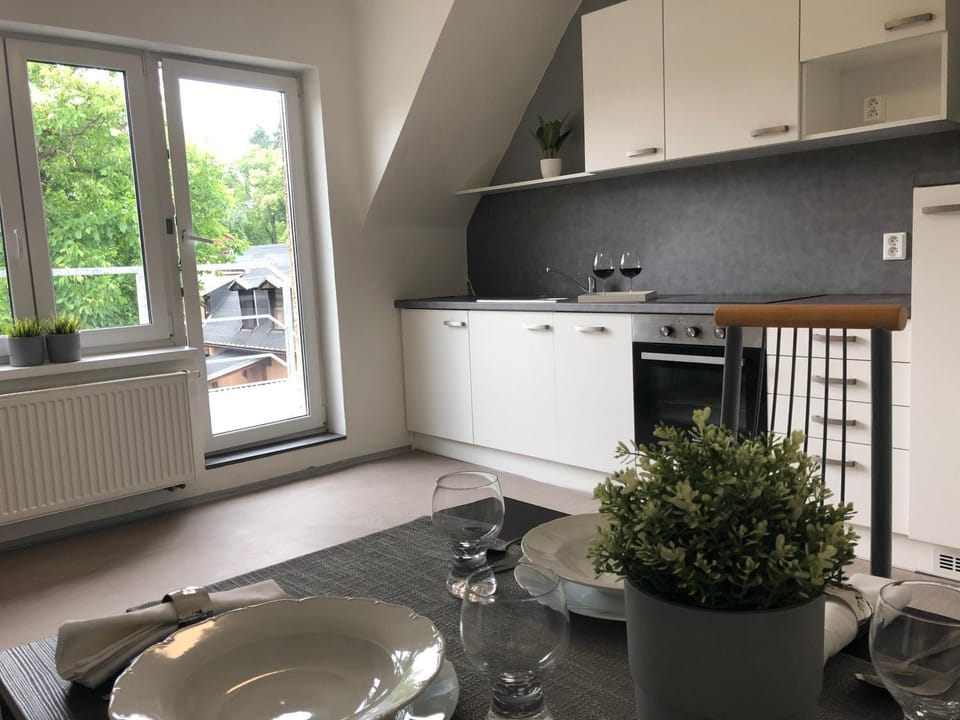 Kitchen or kitchenette, Dining area