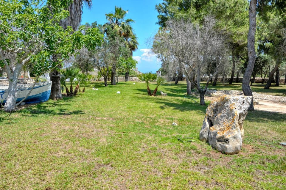 Natural landscape, Garden