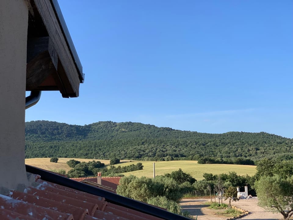 Mountain view