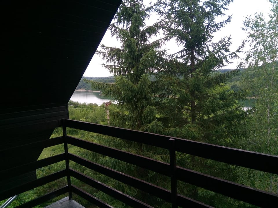 Kuća Sarić, Gružansko jezero House in Serbia