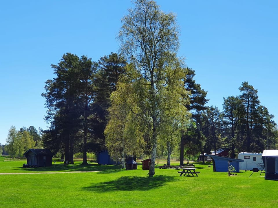 BBQ facilities