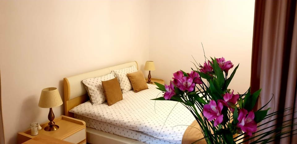 Brasov Studio Apartment in Brasov